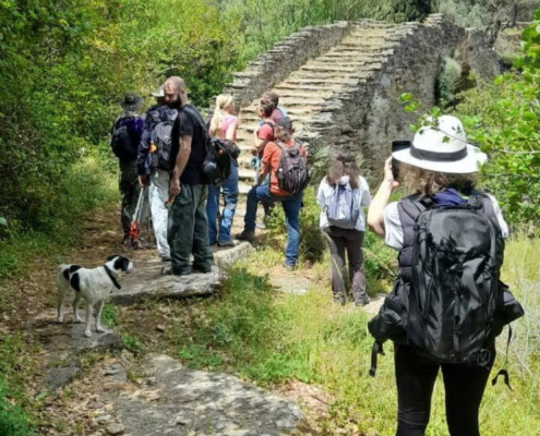 panachradou-monastery-mesariaFF